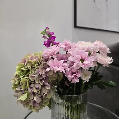 Pink Hub No 2 In The Heart Of *